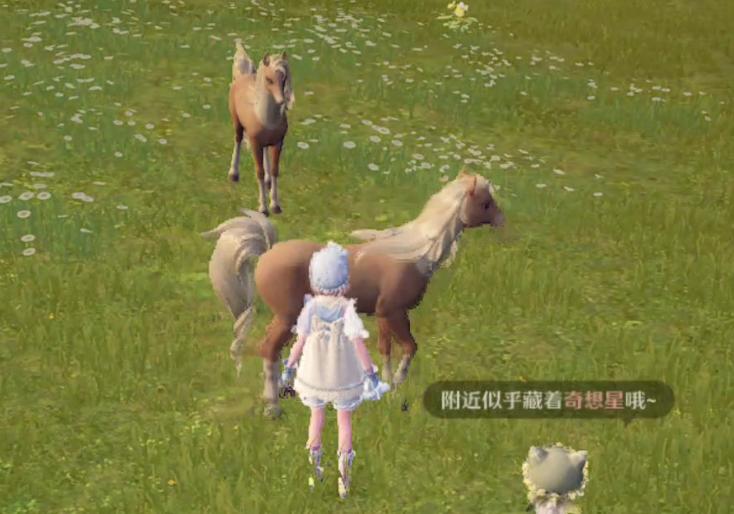 《无限暖暖》贵族卷毛作用及采集方法