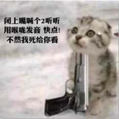 我宣布个事儿我是伞兵系列表情包大全分享