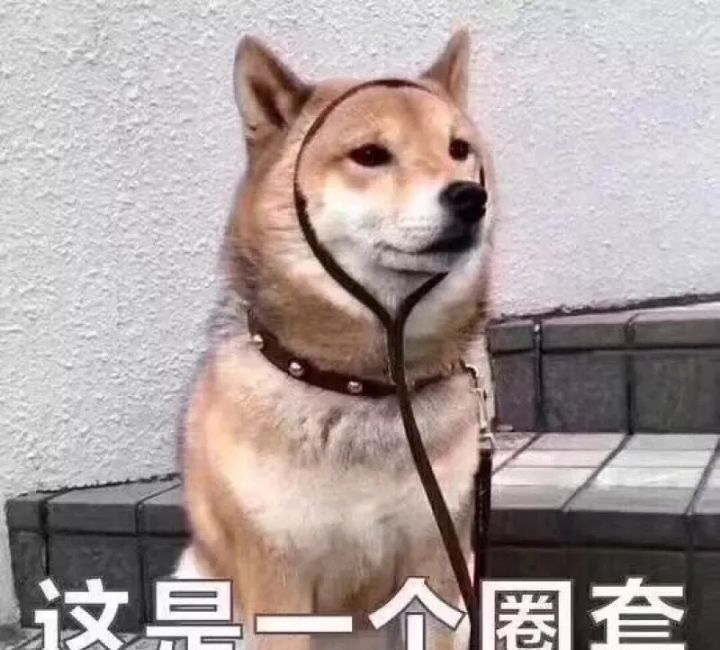 我宣布个事儿我是伞兵系列表情包大全分享