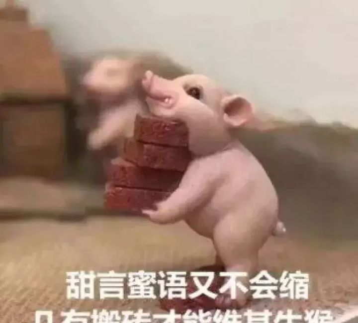 我宣布个事儿我是伞兵系列表情包大全分享