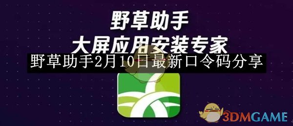 《野草助手》2月10日最新口令码分享