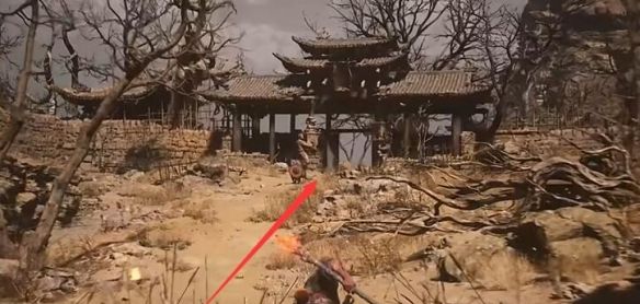 《黑神话悟空》马哥第二回支线任务攻略