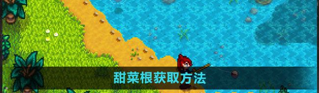 《星露谷物语》甜菜根获取方法