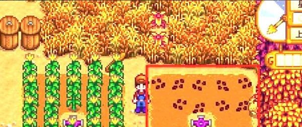 《星露谷物语》甜菜根获取方法
