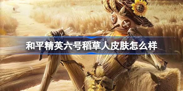 和平精英六号稻草人怎么样 和平精英六号稻草人皮肤价格