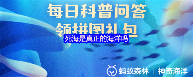 死海是真正的海洋吗