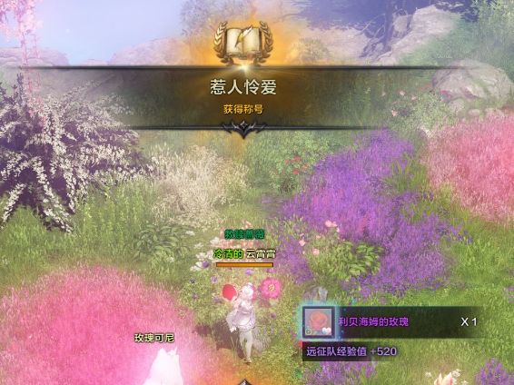 命运方舟世上*的花成就详解