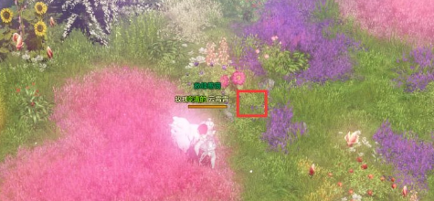 命运方舟世上*的花成就详解