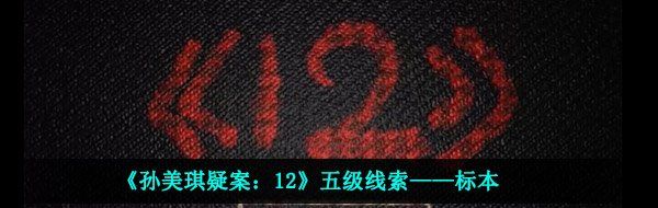 《孙美琪疑案：12》五级线索——标本